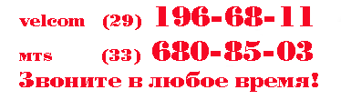 Купить входные металлические двери в Гомеле 